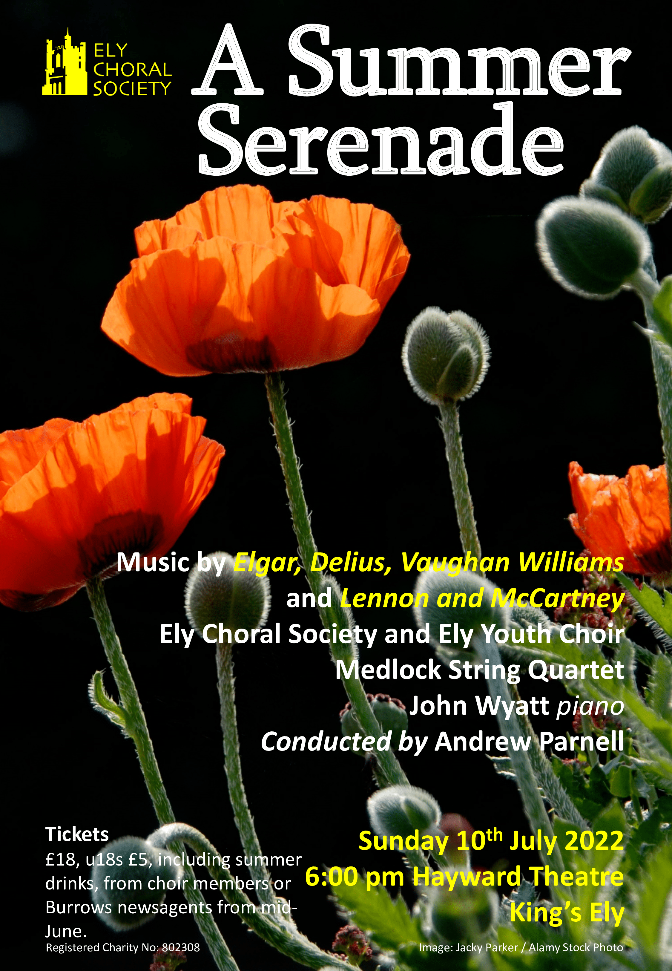 A Summer Serenade_170522